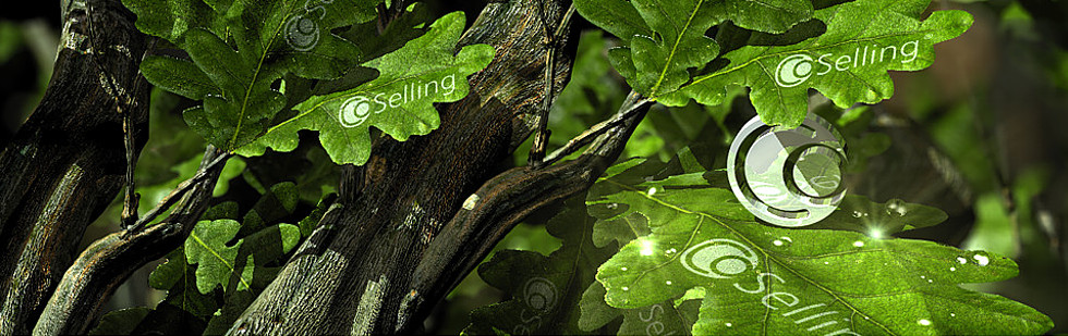 K-3D GRAPHIC . REFERENZEN . CoSelling®